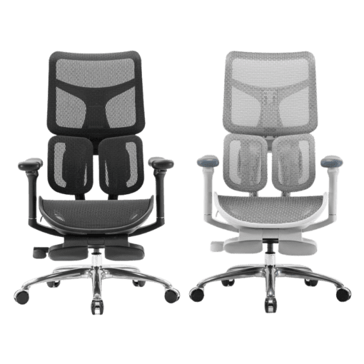 Sihoo Doro S100 Ergonomic Chair (có kê chân)