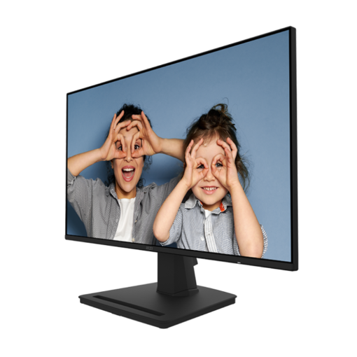 MSI PRO MP252 Monitor - 24.5 inch, Full HD (1920x1080) , 100Hz, HDMI, Display Port