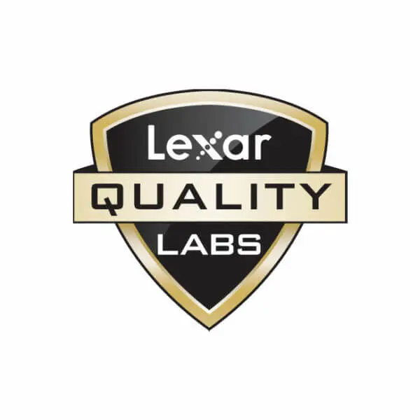 Lexar Thor Black 8GB (1x8GB) DDR4 Memory Kit - 3200MHz CL16 (LD4BU008G-R3200GSXG) 23 Avatar