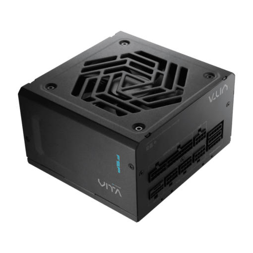 FSP VITA GM 1000W ATX 3.1 PCIe 5.1 Fully modular PSU - 80 Plus Gold