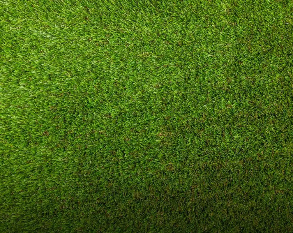 grass bg