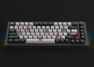 AKKO 5075B Plus Dracula Castle Keyboard - 75%, Multi-modes, Gasket mount, Keycap ASA profile, PBT Double-Shot , Hotswap, 3000mah 39 Dracula Castle 5075B Plus XQ GX3 300x216 1