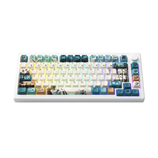AKKO MOD007B-HE PC Joy of Life Keyboard - 75%, RGB backlit, USB Type C 8K Hz Polling Rate Rapid Trigger