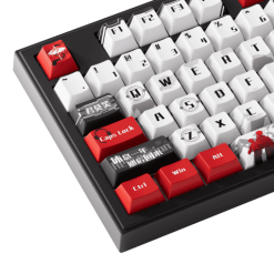 AKKO 5098B The King’s Avatar Ye Xiu Keyboard - 98%, TFT LCD screen, Multi-modes, Gasket mount, PBT Dye-Sub Keycaps, Hotswap, 8000mAh 14 The Kings Avatar 5098B Ye Xiu GX 5