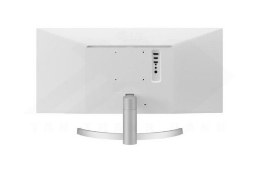 LG Ultrawide 29WN600 W Monitor 3