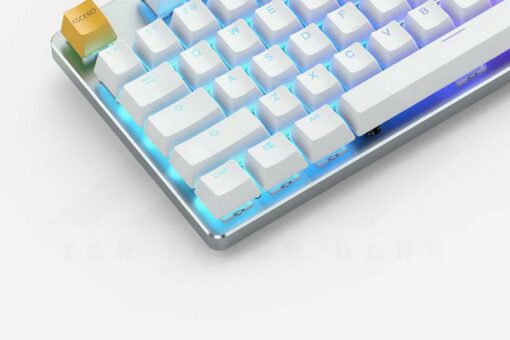 Glorious GMMK Keyboard – White Ice TKL 4