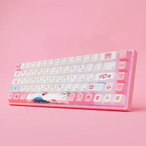 Akko 3068 v2 World Tour Tokyo R2 Keyboard 4