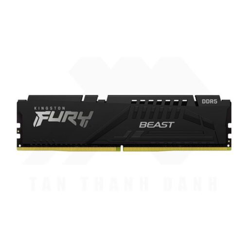 Kingston FURY Beast DDR5 Memory Single Kit