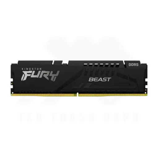 Kingston FURY Beast DDR5 Memory Single Kit
