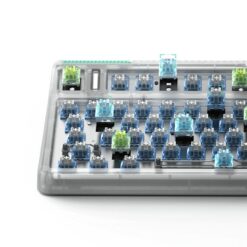 OG80 5 png