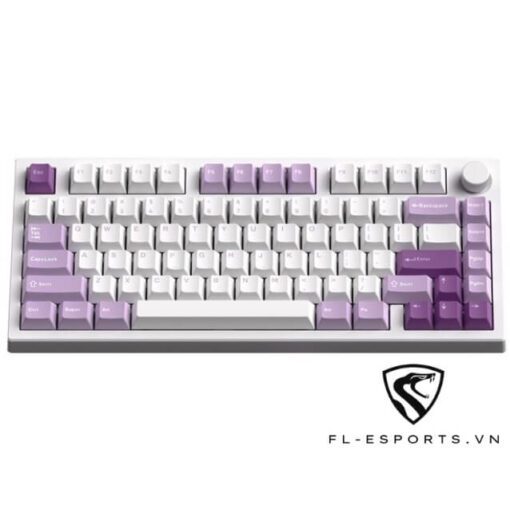 fl esports gp75 taro purple