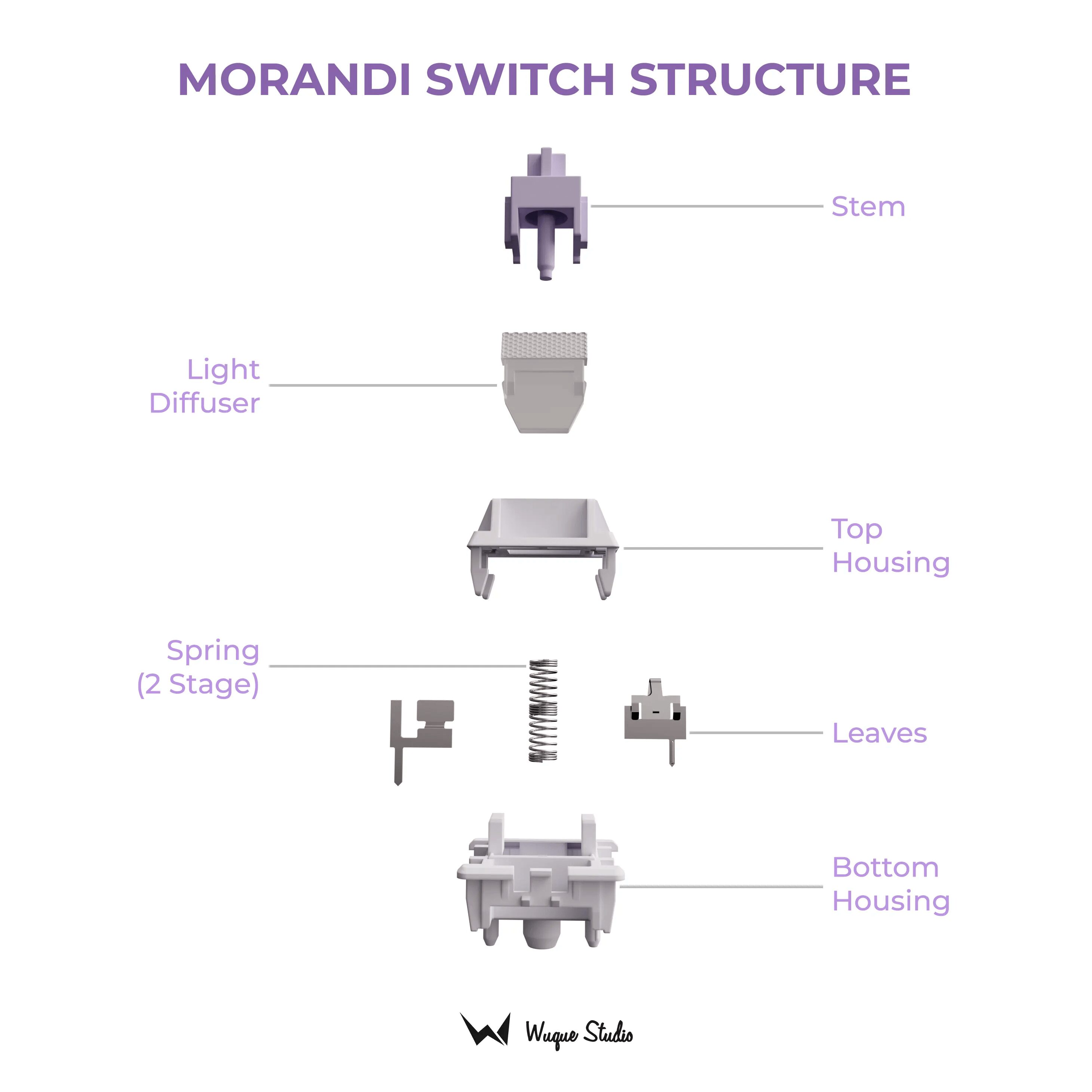 WS Switch Mondari TTD 11