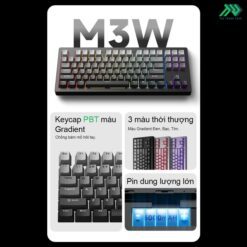 M3W TTD Product 4