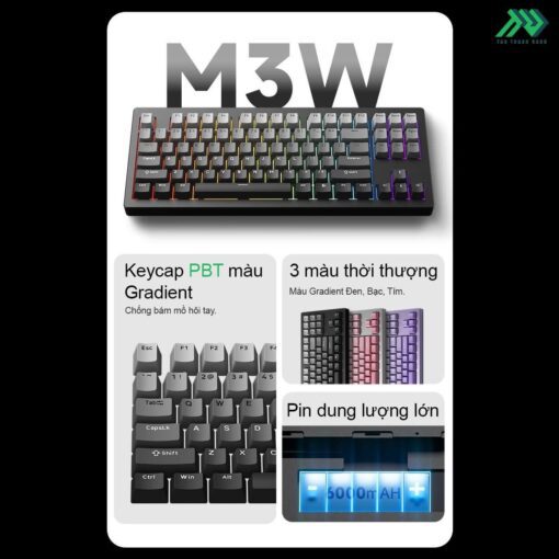 M3W TTD Product 4