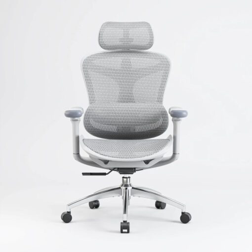 SIHOO A3 (Doro C300) Ergonomic Office Chair