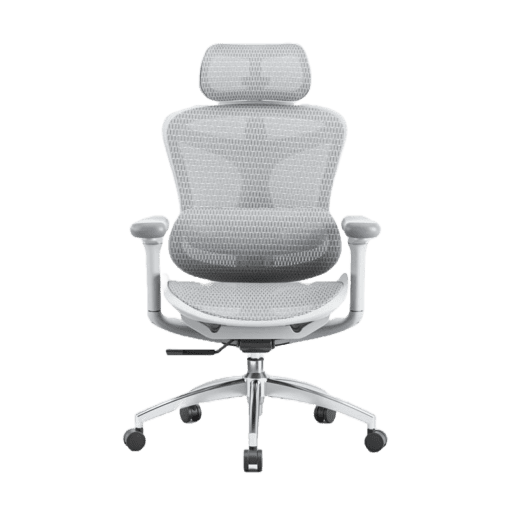 SIHOO A3 (Doro C300) Ergonomic Office Chair