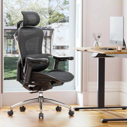 SIHOO A3 (Doro C300) Ergonomic Office Chair