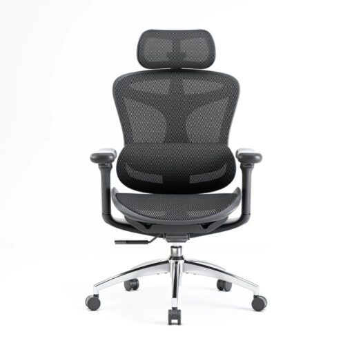 SIHOO A3 (Doro C300) Ergonomic Office Chair