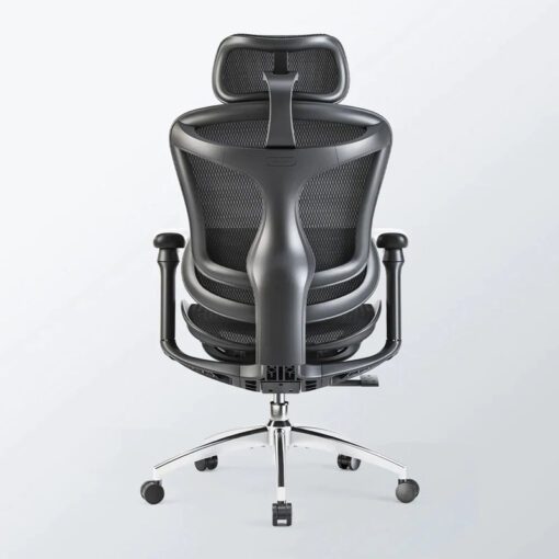 SIHOO A3 (Doro C300) Ergonomic Office Chair