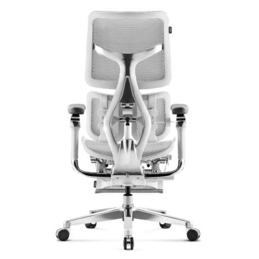 Sihoo AU (Doro S300) 2.0 2024 Ergonomic Chair with footrest