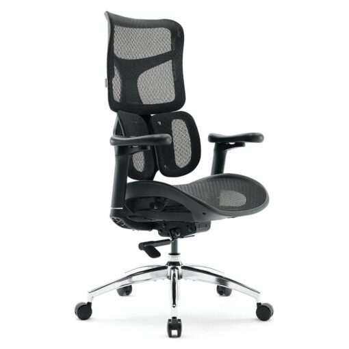 Sihoo Doro S100 Ergonomic Chair (không kê chân)