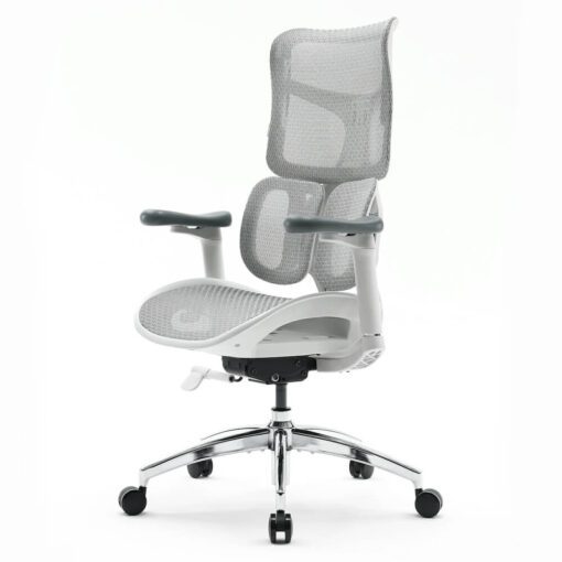 Sihoo Doro S100 Ergonomic Chair (không kê chân)
