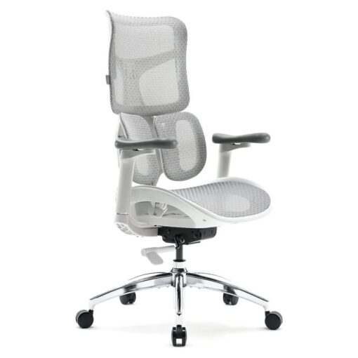 Sihoo Doro S100 Ergonomic Chair (không kê chân)