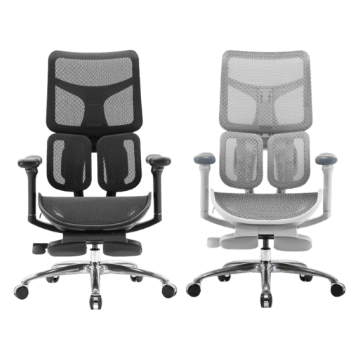 Sihoo Doro S100 Ergonomic Chair (có kê chân)