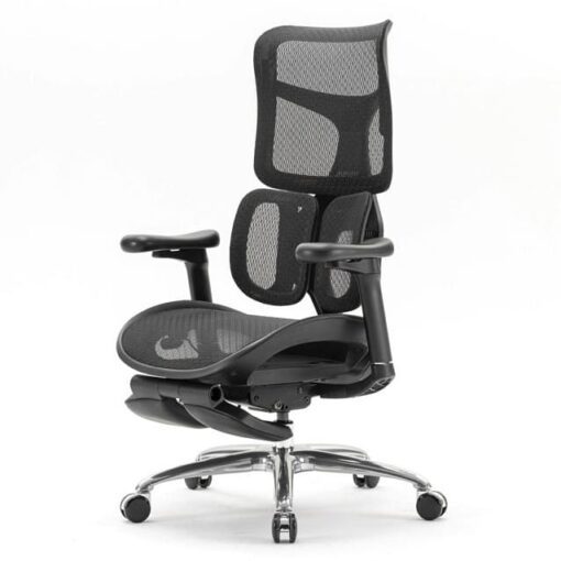 Sihoo Doro S100 Ergonomic Chair (có kê chân)