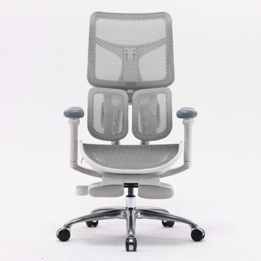 Sihoo Doro S100 Ergonomic Chair (có kê chân)