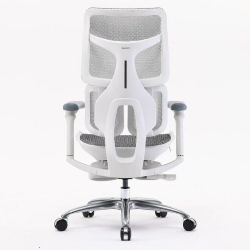 Sihoo Doro S100 Ergonomic Chair (có kê chân)