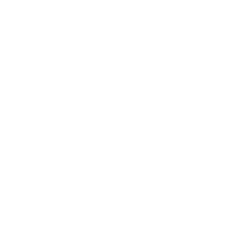transparent 05 09 960x971 1