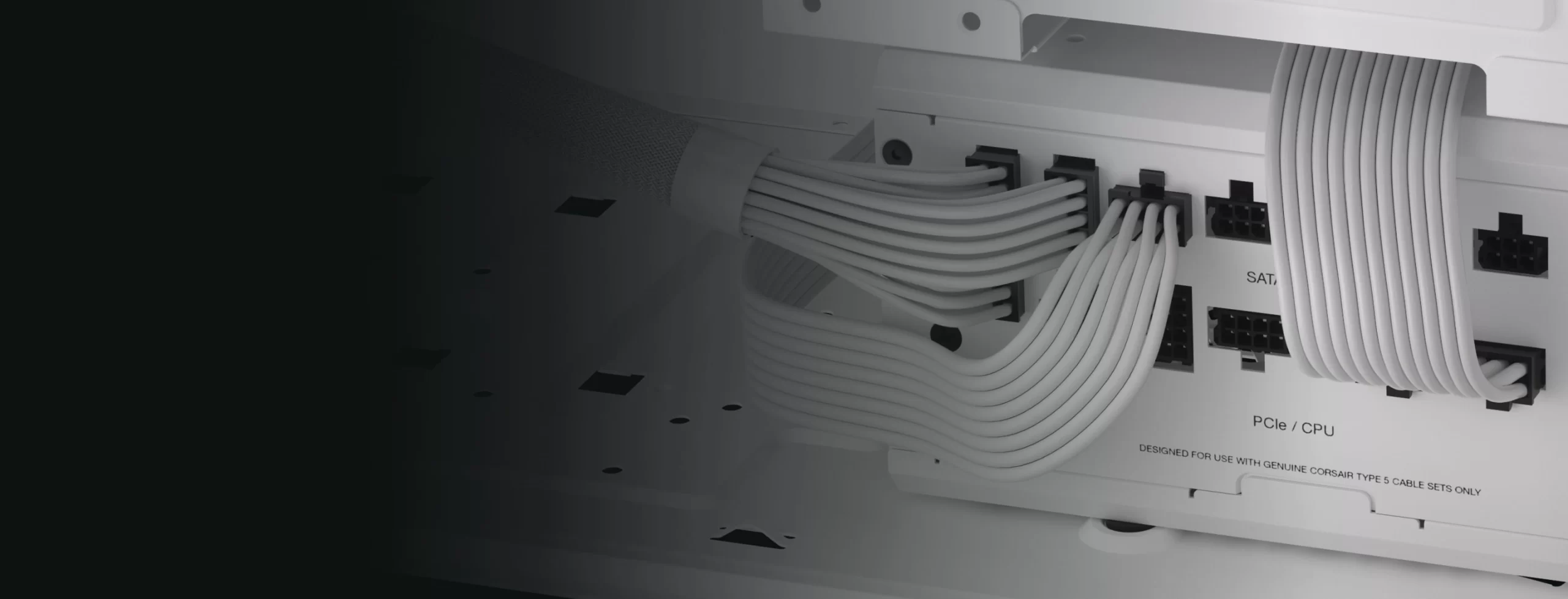 Panel02 Background 1 scaled