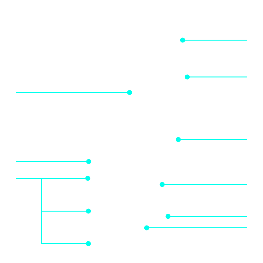 item1 line