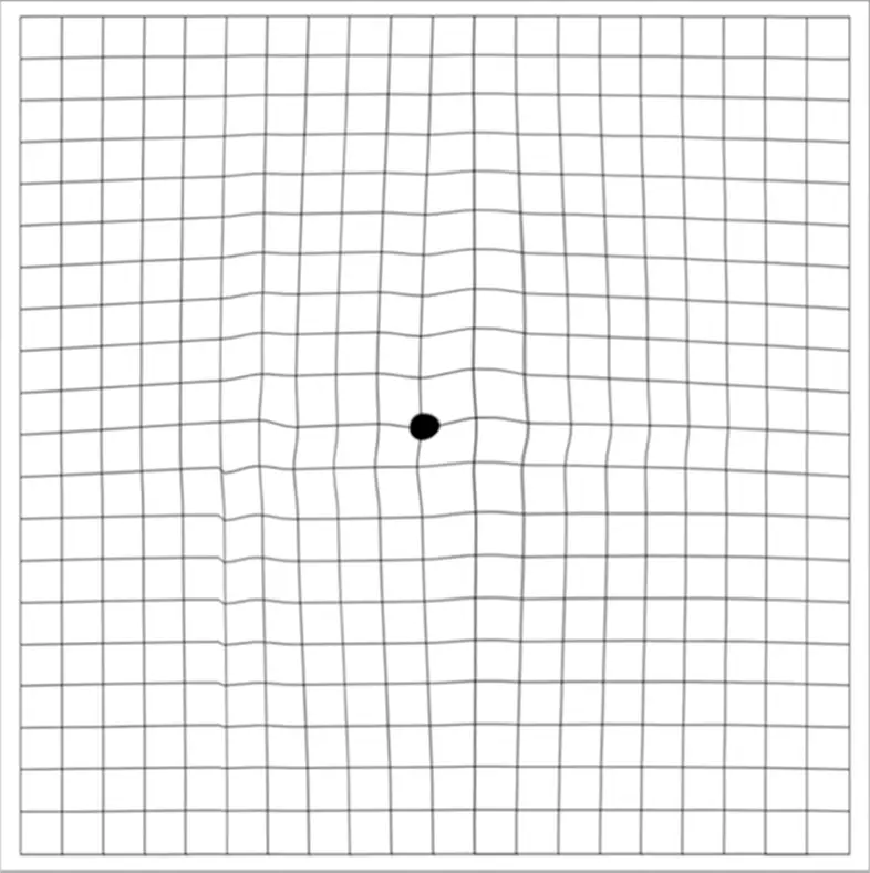 8b2