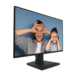 MSI PRO MP252 product 1