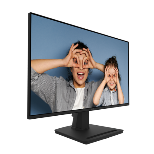 MSI PRO MP252 Monitor - 24.5 inch, Full HD (1920x1080) , 100Hz, HDMI, Display Port