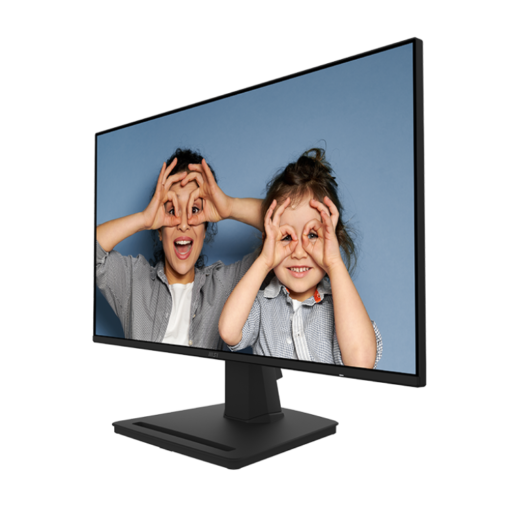 MSI PRO MP252 Monitor - 24.5 inch, Full HD (1920x1080) , 100Hz, HDMI, Display Port