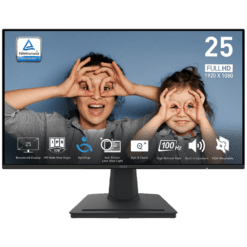 MSI PRO MP252 Monitor - 24.5 inch, Full HD (1920x1080) , 100Hz, HDMI, Display Port