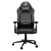 Cougar Explore Royal Gaming Chair - Breathable Velvet Fabric & PVC Leather, 3D Armrests, Lumbar & Neck Pillows