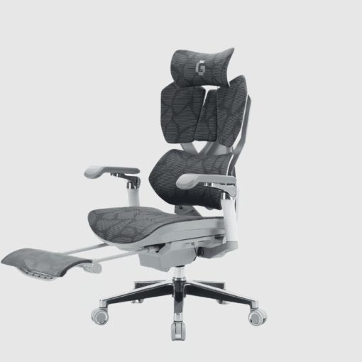 Gami X5 Pro Ergonomic Chair