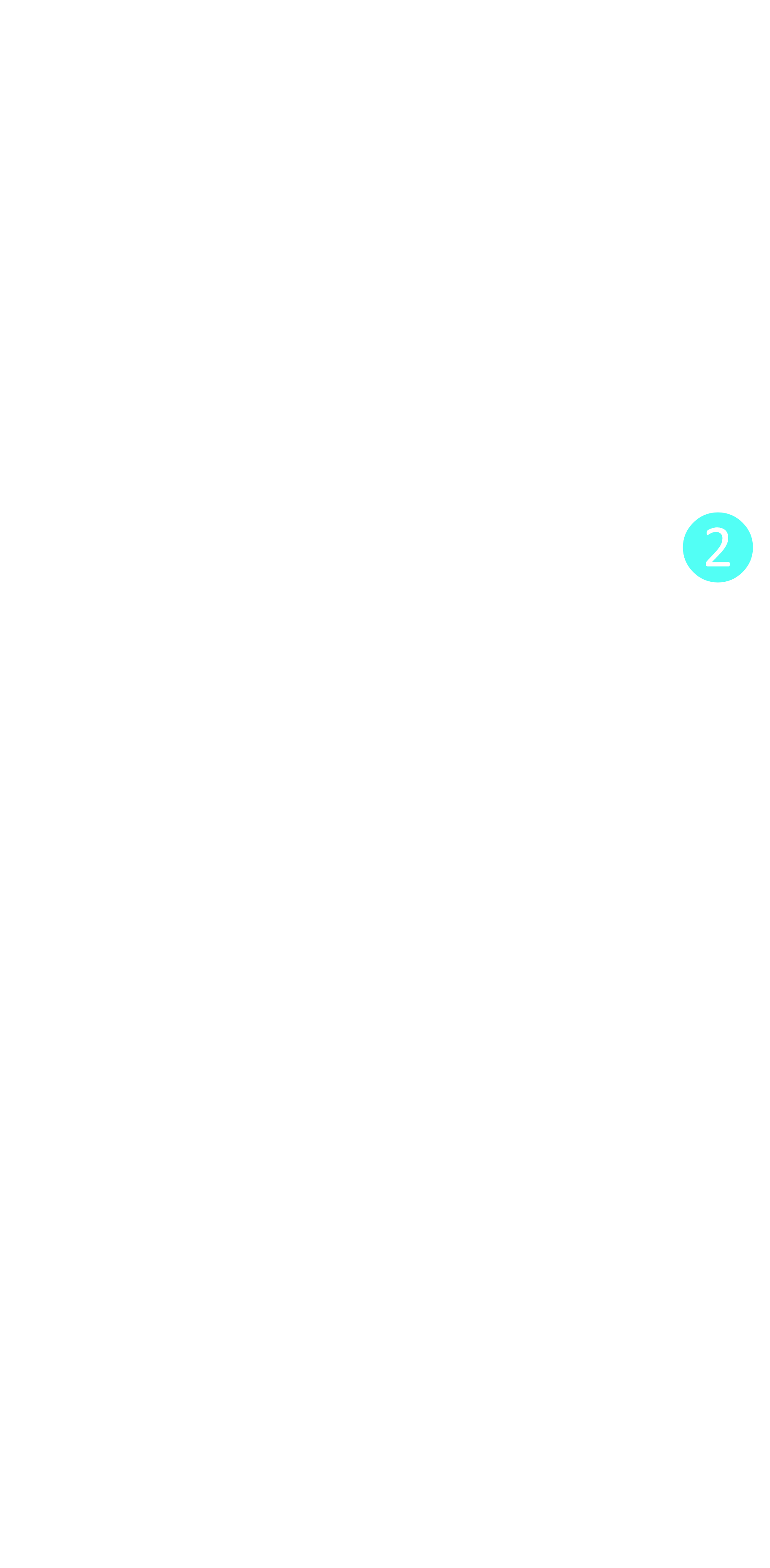 layer 2