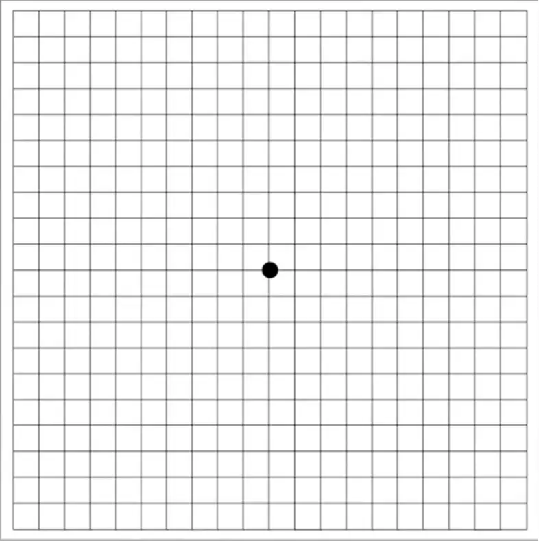 amsler grid left img
