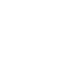 ivs