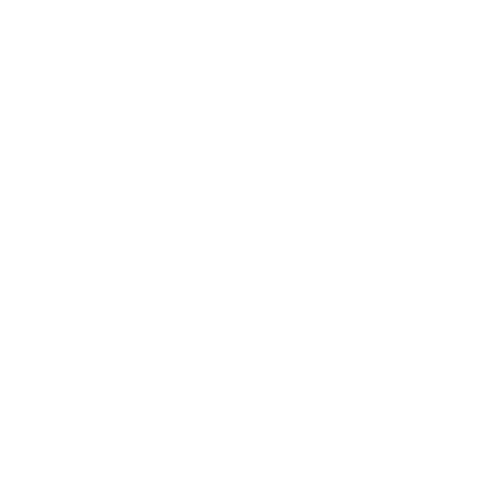 DKS 500 500