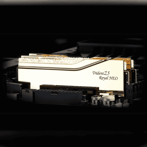 G.Skill Trident Z5 Royal Neo 96GB (2x48GB) Memory Kit - Gold, 6000MHz CL28 DDR5 (F5-6000J2836F48GX2-TR5NG)