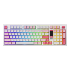 5098B Prunus Lannesiana pic 6