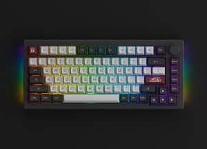 AKKO 5075B Plus Dracula Castle Keyboard - 75%, Multi-modes, Gasket mount, Keycap ASA profile, PBT Double-Shot , Hotswap, 3000mah 38 Dracula Castle 5075B Plus XQ GX2 300x216 1