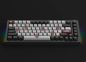 AKKO 5075B Plus Dracula Castle Keyboard - 75%, Multi-modes, Gasket mount, Keycap ASA profile, PBT Double-Shot , Hotswap, 3000mah 39 Dracula Castle 5075B Plus XQ GX3 300x216 1