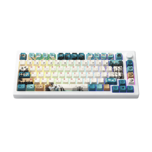 AKKO MOD007B-HE PC Joy of Life Keyboard - 75%, RGB backlit, USB Type C 8K Hz Polling Rate Rapid Trigger